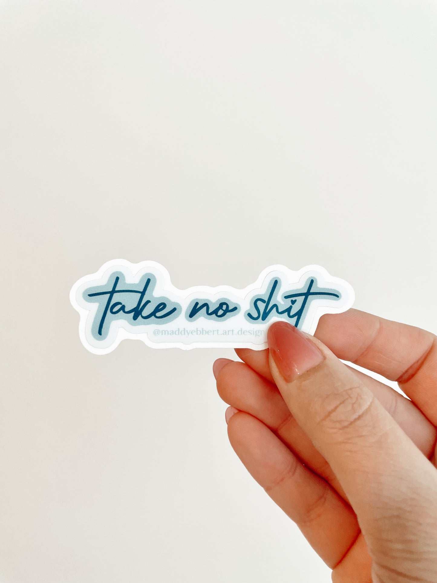 "Take No Shit" Sticker