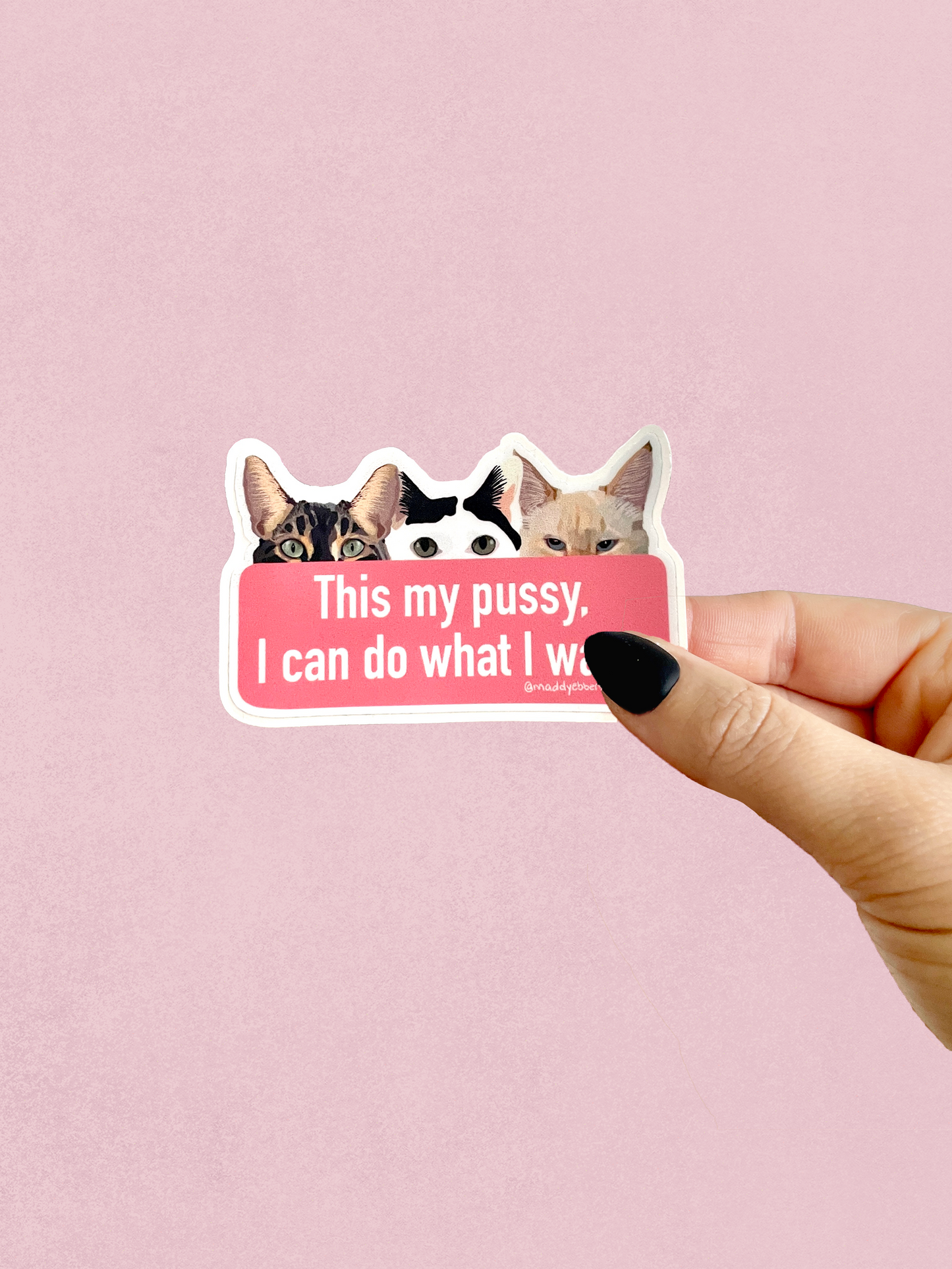 Feminist Cat Sticker