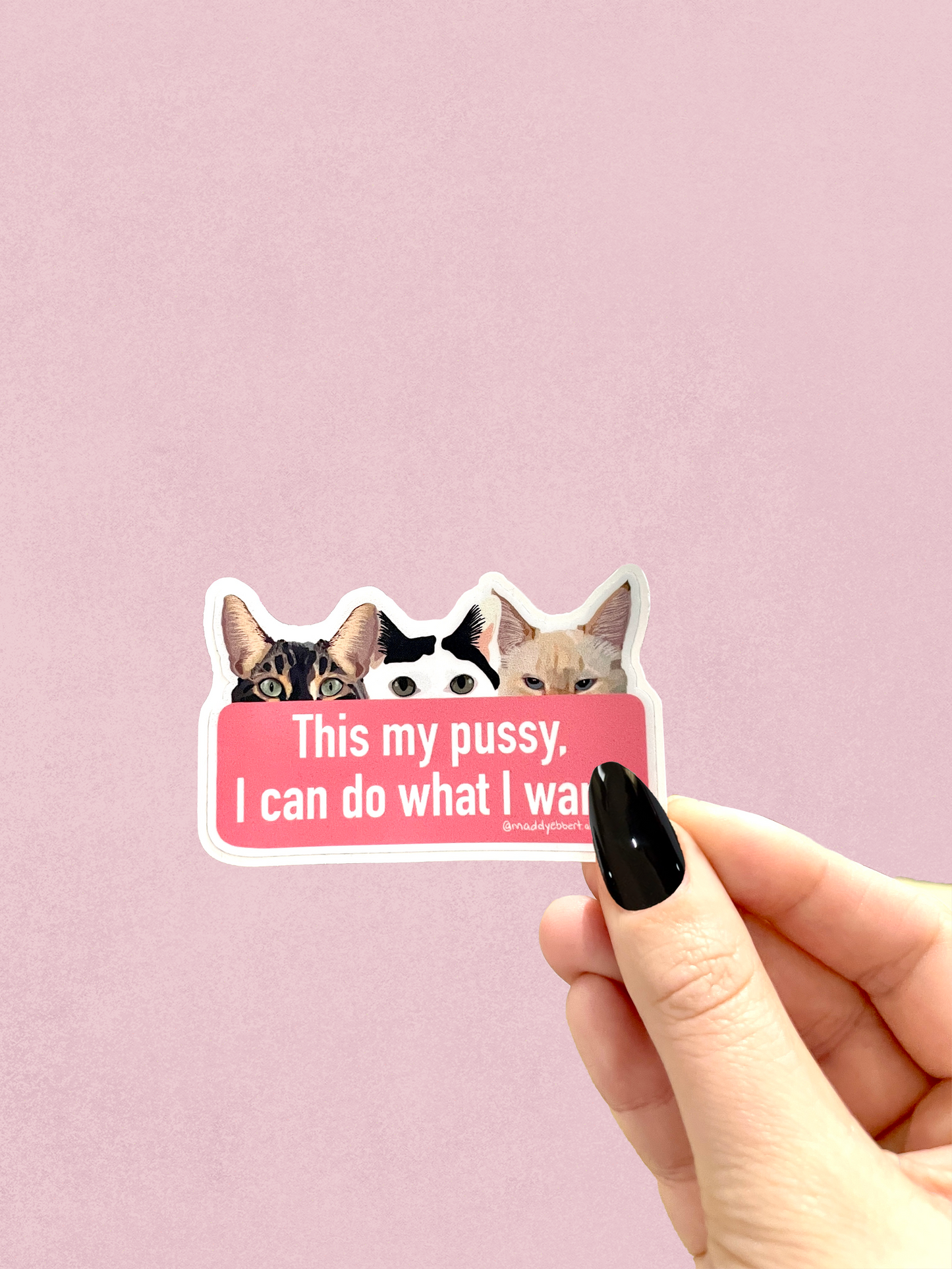 Feminist Sticker 5 Pack